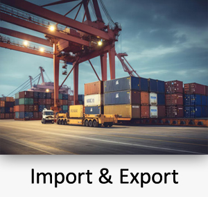 Import & Export